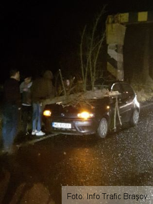 copac dn 1_243145.jpg