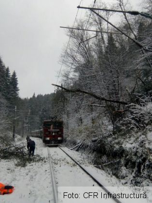 copac sine 2_243147.jpg