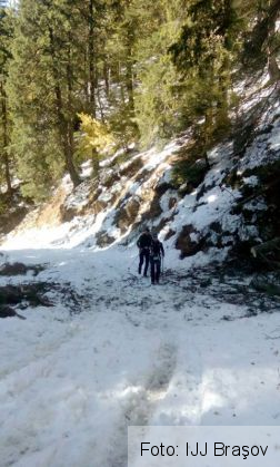 montaneria 3_242339.jpg