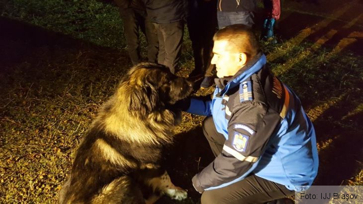 montaneria 5_242338.jpg