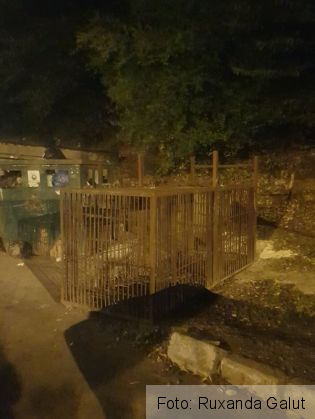 urs prins 2_242466.jpg