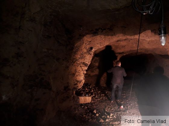 BRAȘOV. Plângere penală pentru cei care au făcut igienizarea în catacombe 2 20171113_121032_243846.jpg