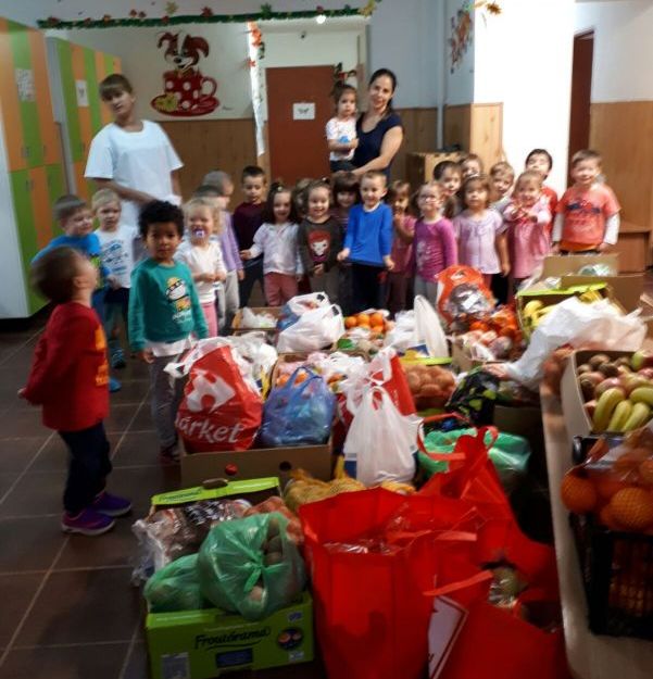 VOLUNTARIAT. „Juniorii” Grădiniței nr. 26 Brașov au donat peste 600 kg de fructe și legume! GALERIE FOTO... 6 gradi10.jpg