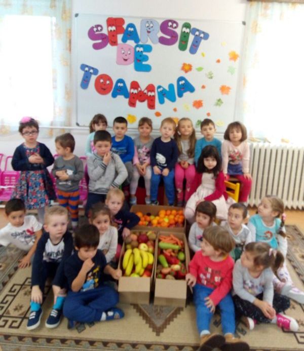 VOLUNTARIAT. „Juniorii” Grădiniței nr. 26 Brașov au donat peste 600 kg de fructe și legume! GALERIE FOTO... 8 gradi13.jpg