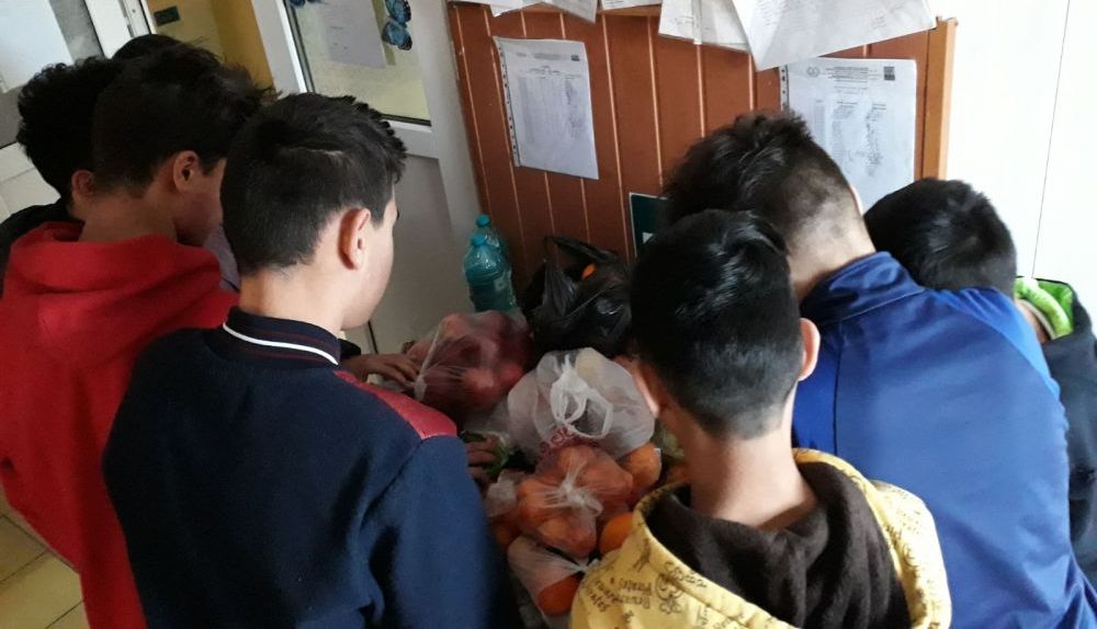 VOLUNTARIAT. „Juniorii” Grădiniței nr. 26 Brașov au donat peste 600 kg de fructe și legume! GALERIE FOTO... 10 gradi5.jpg