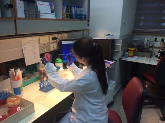 BRAȘOV. Universitatea „Transilvania” a premiat cel mai bun student Erasmus+ 2 3_246250.jpeg