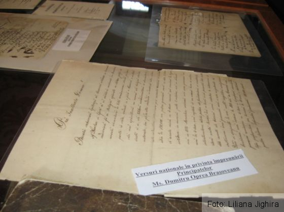 Prof. Oltean juni Muzeul Primei Scoli Romanesti (38)_246777.