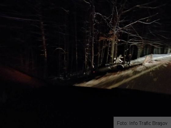 accident drumul poienii 2_246355.jpg