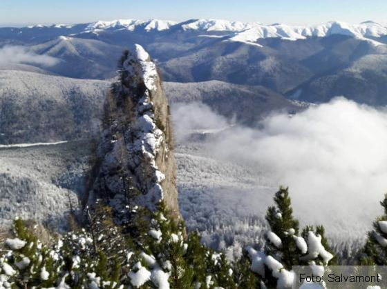 cautari bucegi 2_246435.jpg