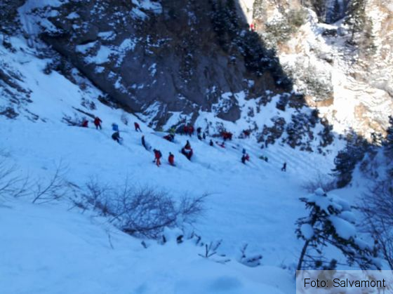 cautari bucegi 3_246439.jpg