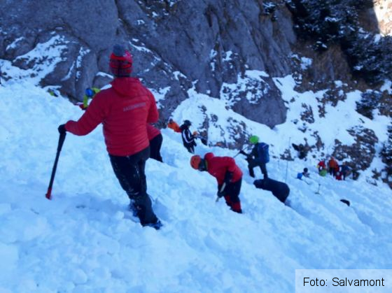 cautari bucegi 5_246434.jpg