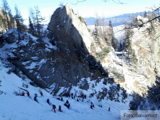 cautari bucegi 6_246437.jpg