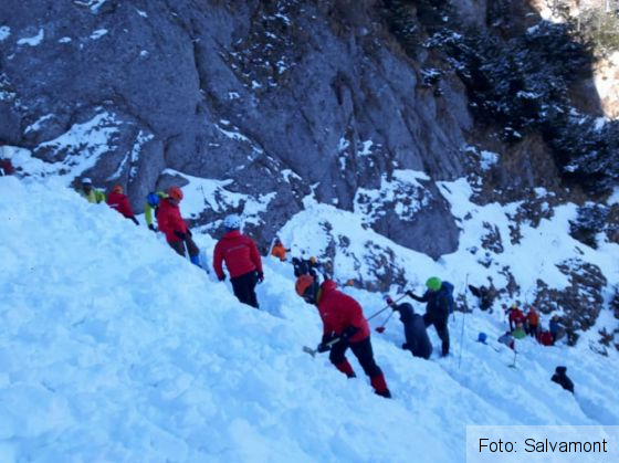 cautari bucegi 7_246436.jpg