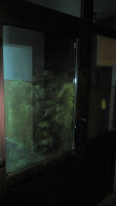 IMG-20180204-WA0002 (1)_247269.jpg