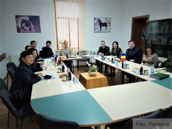 chinezi directia silvica 2_247623.jpg