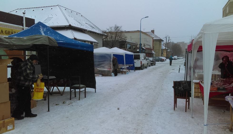 Mărțișoare în zăpadă, la -12º Celsius! 3 imag0374.jpg