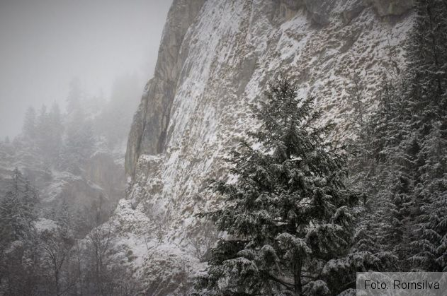 BRAŞOV. Cum arată Prăpăstiile Zărneştiului după ninsoarea de februarie. IMAGINI AMEŢITOARE 4 prapastiile zarnestiului_247702.jpg