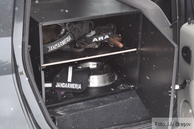 autovehicul caini 2_248287.jpg