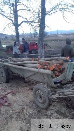 control jandarmi 4_248599.jpg