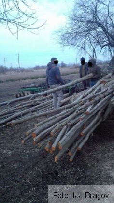 control jandarmi 5_248601.jpg