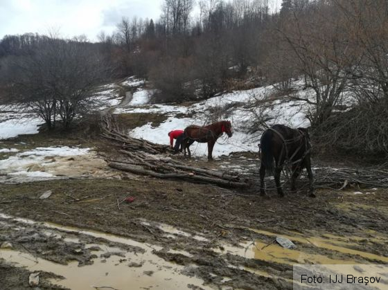 control jandarmi 6_248602.jpg