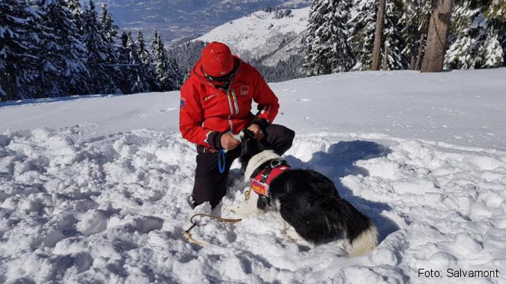 cursuri salvamont 4_248433.jpg