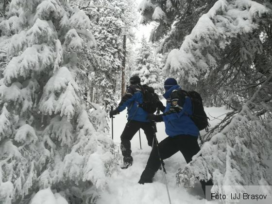 interventie jandarmi 3_249342.jpg