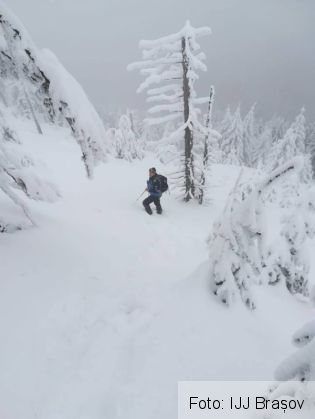 interventie jandarmi 4_249345.jpg