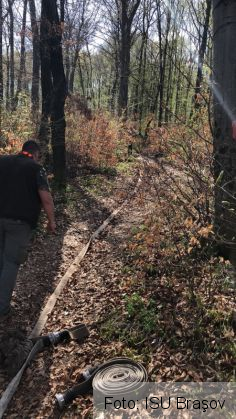 BRAŞOV. Incendiu de vegetaţie în zona străzii Calcarului (update FOTO) 3 IMG-20180412-WA0002_250164.jpg