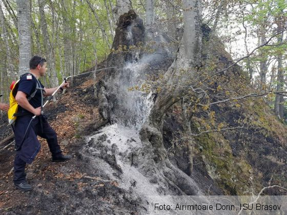 incendiu poenari 4_250708.jpg