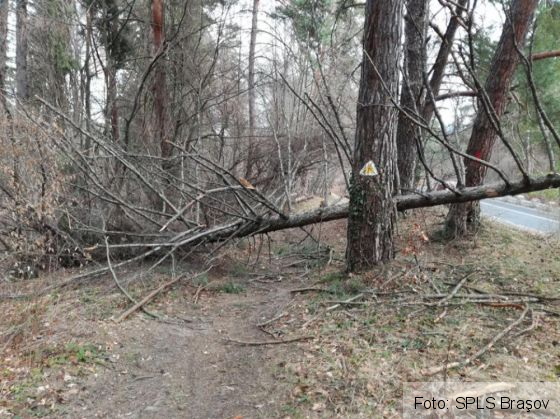 poteci salvamont 4_250151.jpg