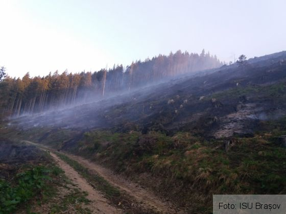 BRAȘOV. Incendiul din Munții Ciucaș a fost stins, dar pompierii rămân pe poziții 3 IMG-20180508-WA0011_251280.jpg