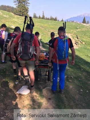 adolescenta ranita 3_251015.jpg