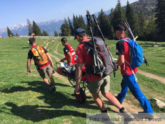 adolescenta ranita 4_251016.jpg