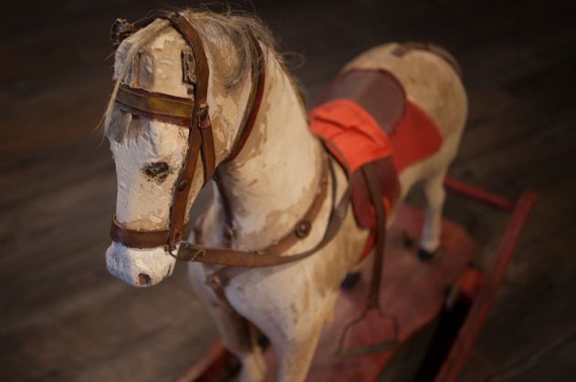 dino_image 3_252197.jpg