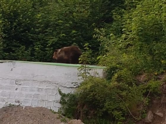 WhatsApp Image 2018-06-13 at 20.28.17_252817.jpeg