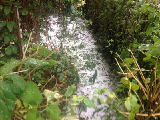 grindina_Racadau (3)_252362.JPG