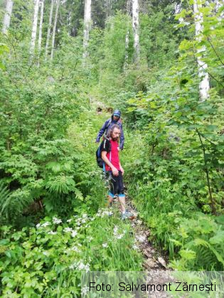 salvamont zarnesti 2_253379.jpg