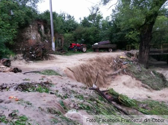 viitura cobor 3_254766.jpg