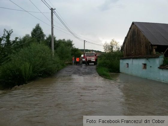 viitura cobor 4_254767.jpg