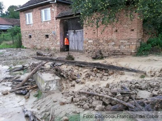 viitura cobor 5_254768.jpg