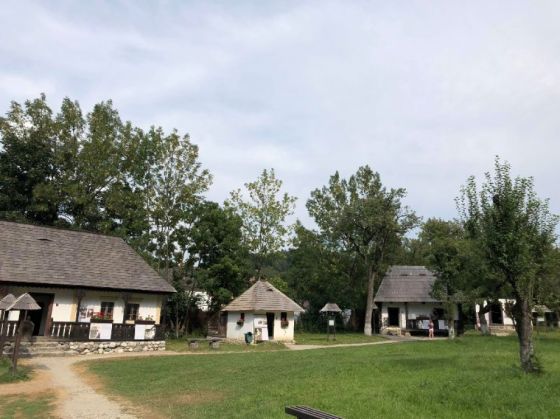 Expo-Regina-Maria-Bran (5)_255867.jpg