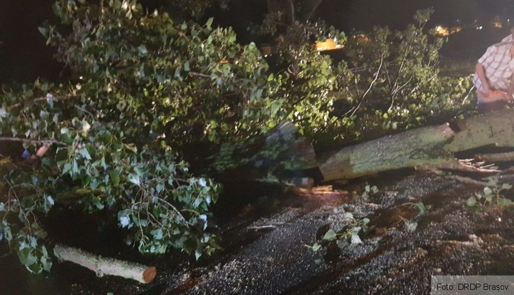 BRAȘOV. Copac căzut pe DN 73, aseară (FOTO) 3 img-20180817-wa0000.jpg