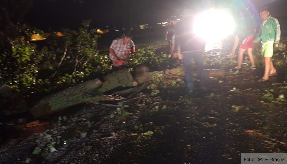 BRAȘOV. Copac căzut pe DN 73, aseară (FOTO) 2 img-20180817-wa0001.jpg