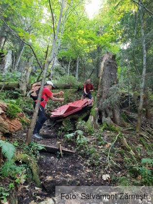 refugiul diana 5_256084.jpg