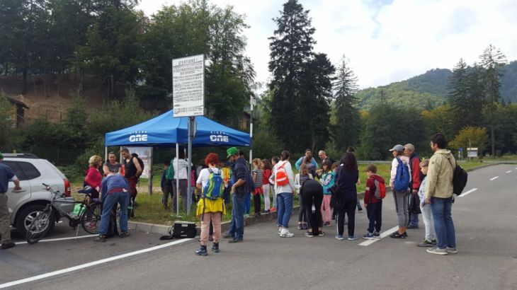 curatenie (1)_257370.jpeg