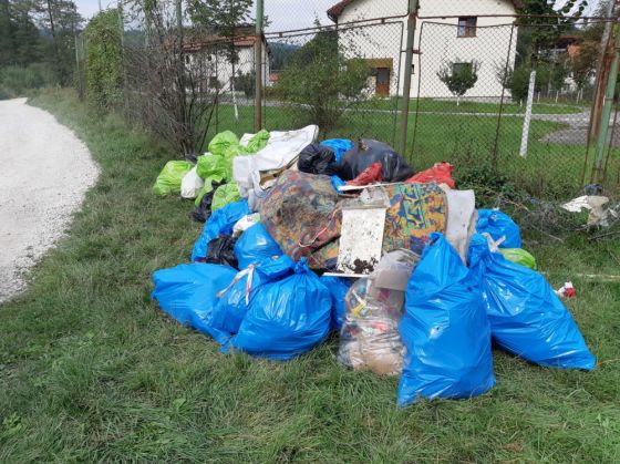 curatenie (3)_257371.jpeg