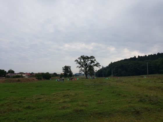 curatenie (8)_257376.jpeg