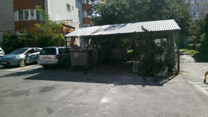 ghene-gunoi-Politia-Locala (3)_257107.jpg