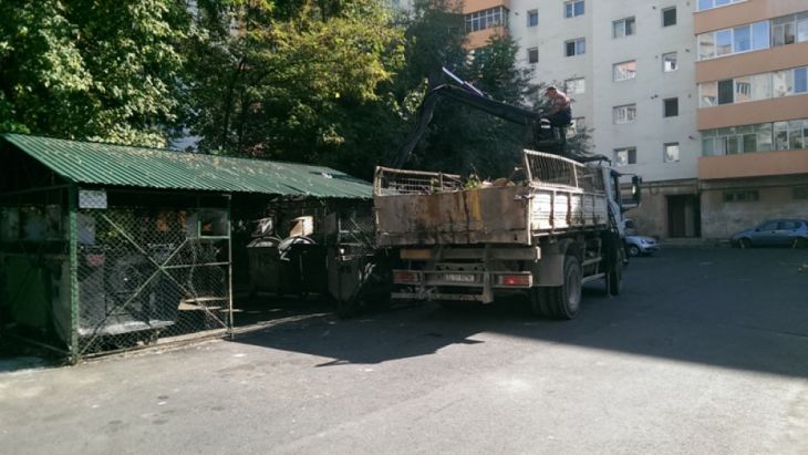 ghene-gunoi-Politia-Locala (8)_257105.jpg